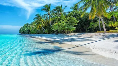 Biuro Podróży Fregata - Jolanta Wieczorek